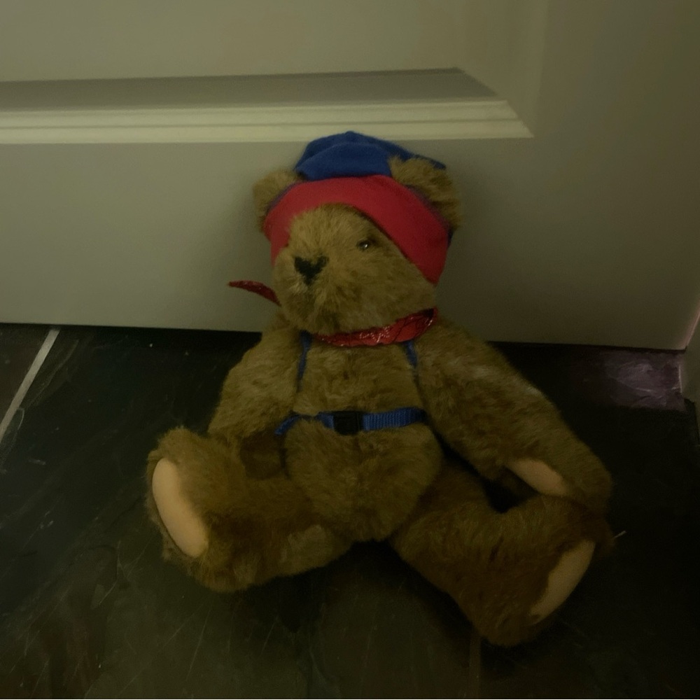 1998 the Vermont Teddy Bear plush